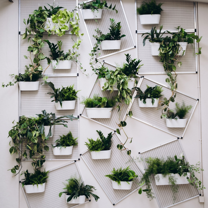 Pastel de Nata Workshop - Aula de culinária na Baixa do Porto com Vinho do Porto (Lapa)