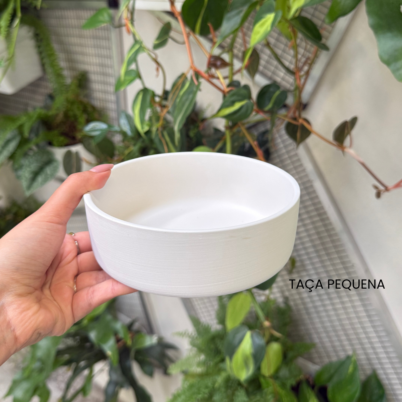 The Bowl Project | Solidarity Painting of Ceramic Bowls